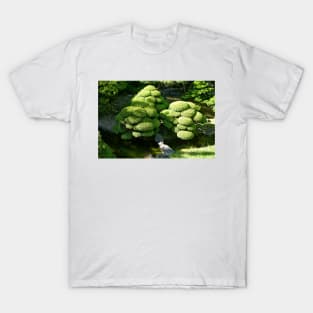 SF Japanese Tea Garden Study 6 T-Shirt